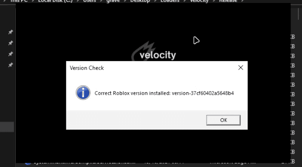 correct roblox version